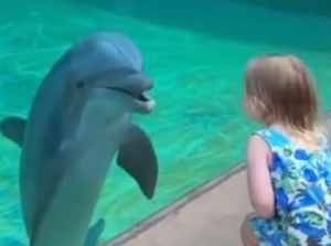 Toddler and Dolphin Heart Connection